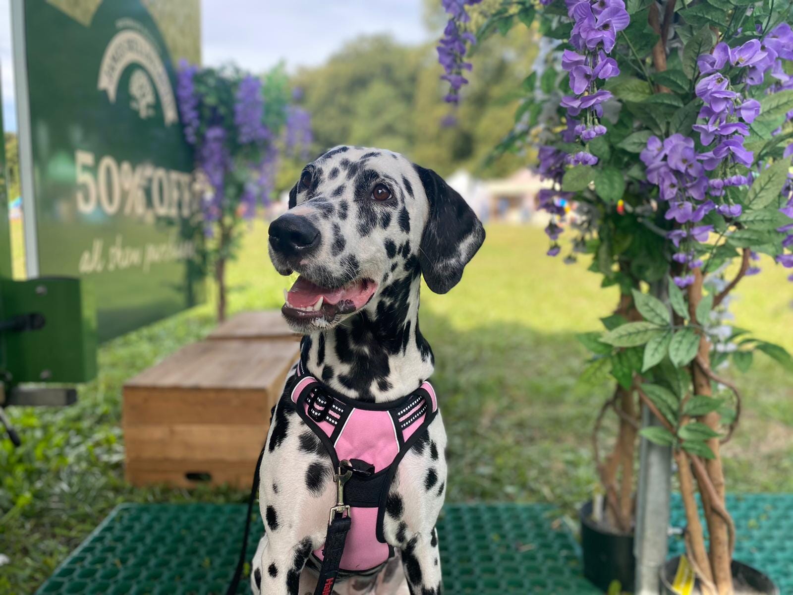 WhatsApp-Image-2021-09-20-at-17.58.11.jpeg?w=1024&h=768&scale